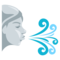Wind Face emoji on Emojione